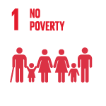 icon no poverty