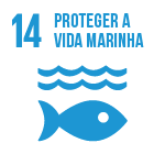 icon proteger a vida marinha